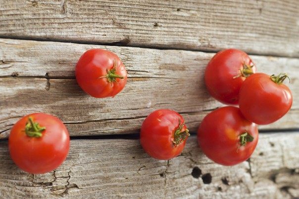 Historia del tomate
