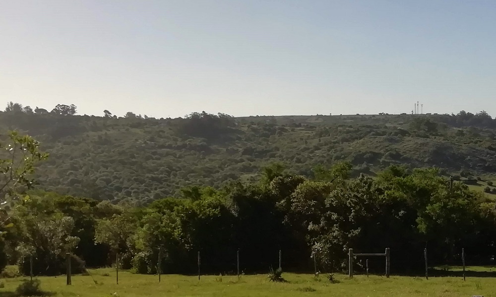 Cerro Guazubirá